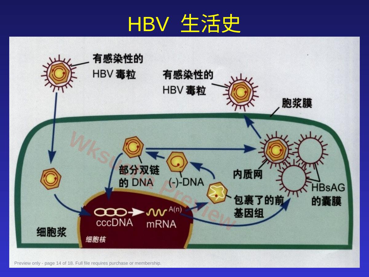预览第 14 页