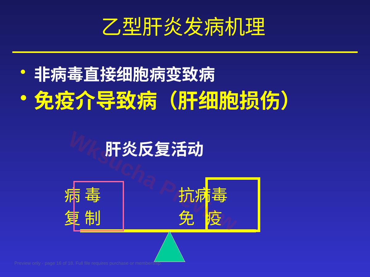 预览第 16 页
