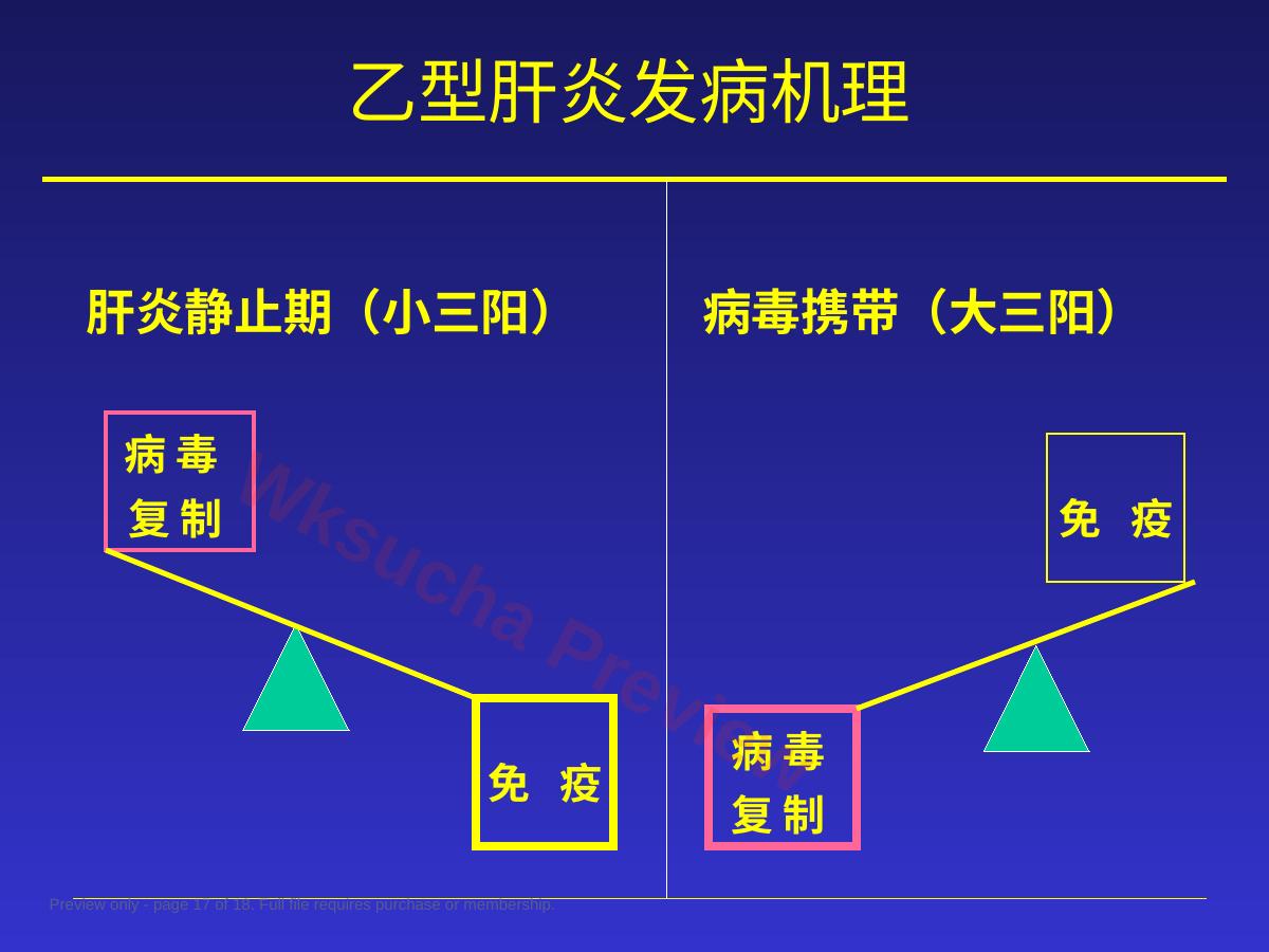 预览第 17 页