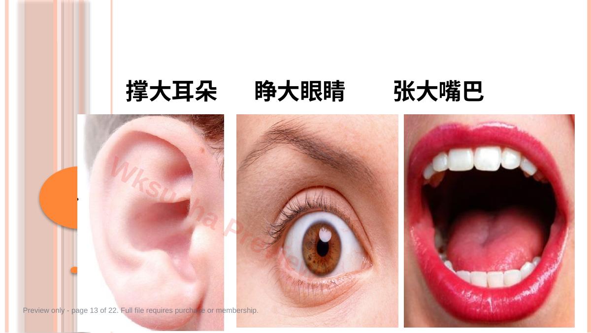 预览第 13 页