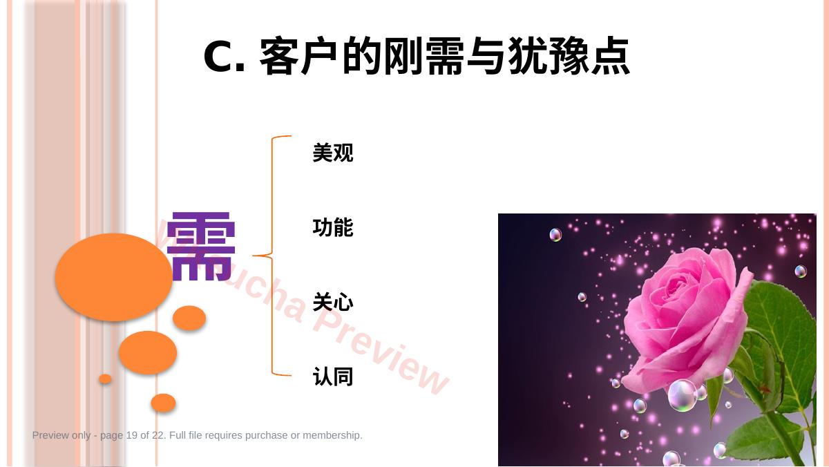 预览第 19 页