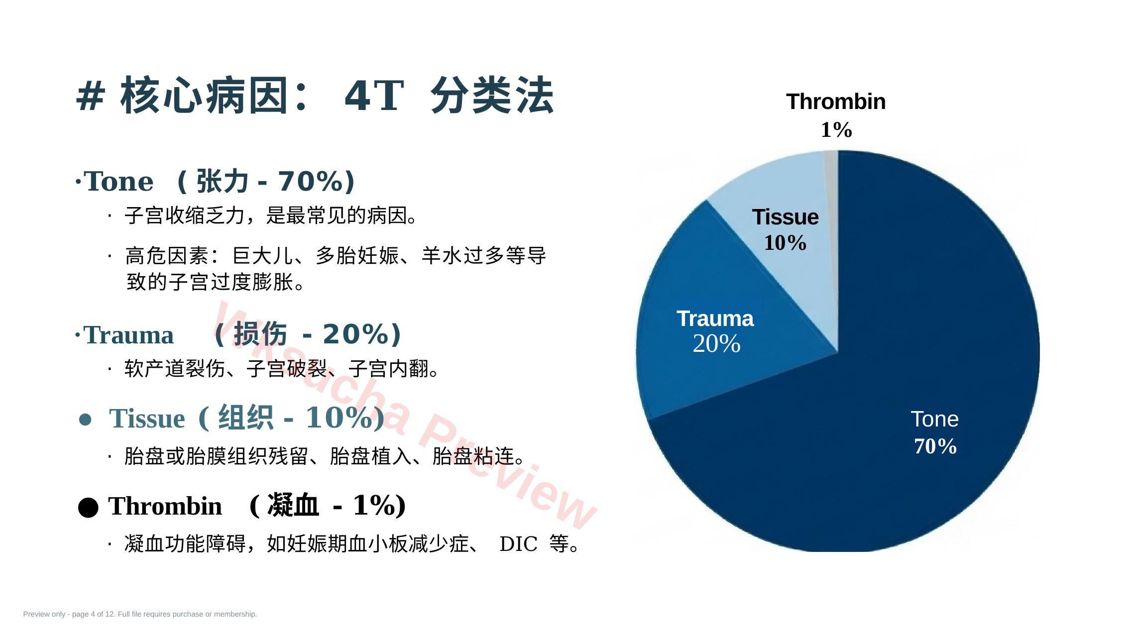 预览第 4 页