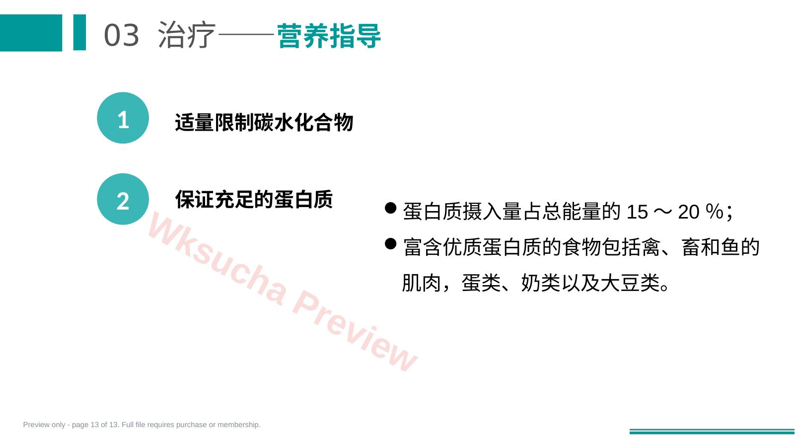 预览第 13 页