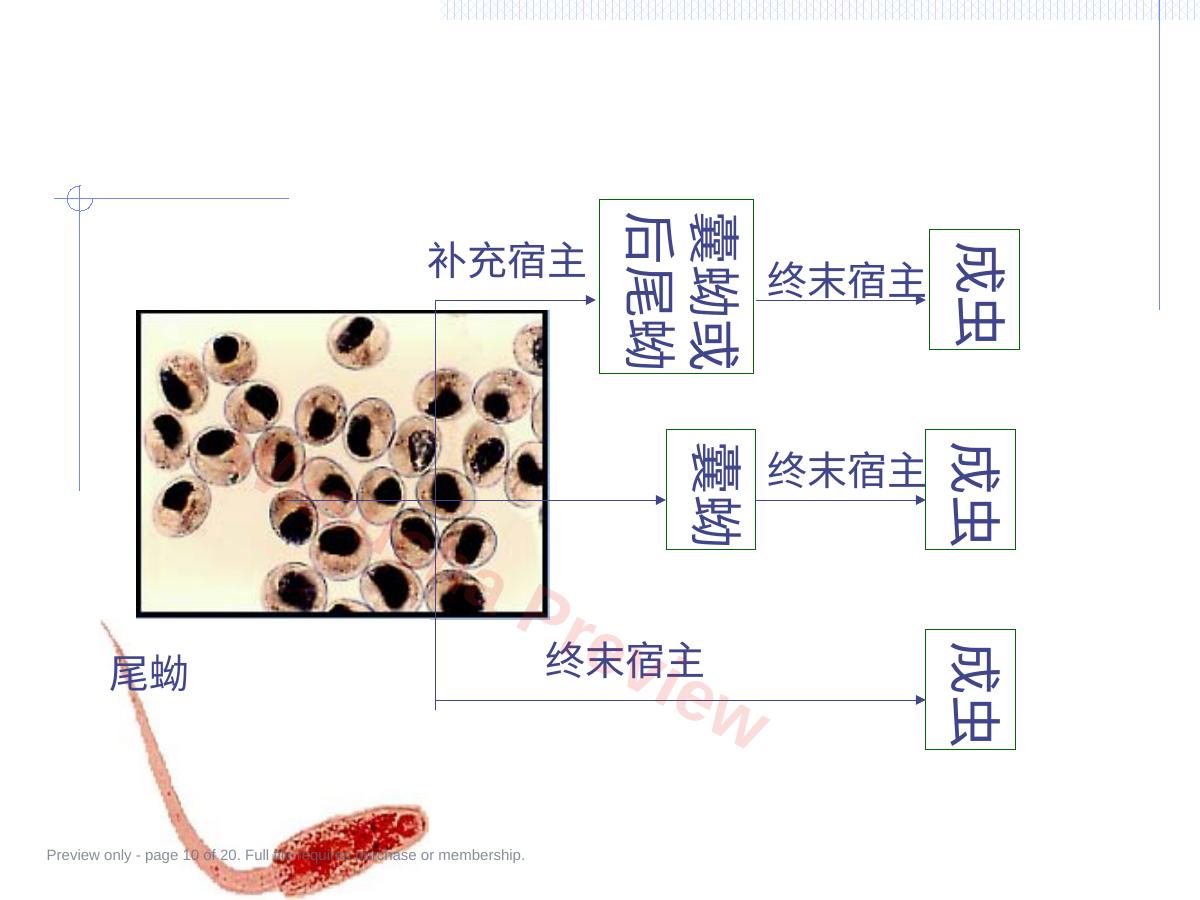 预览第 10 页