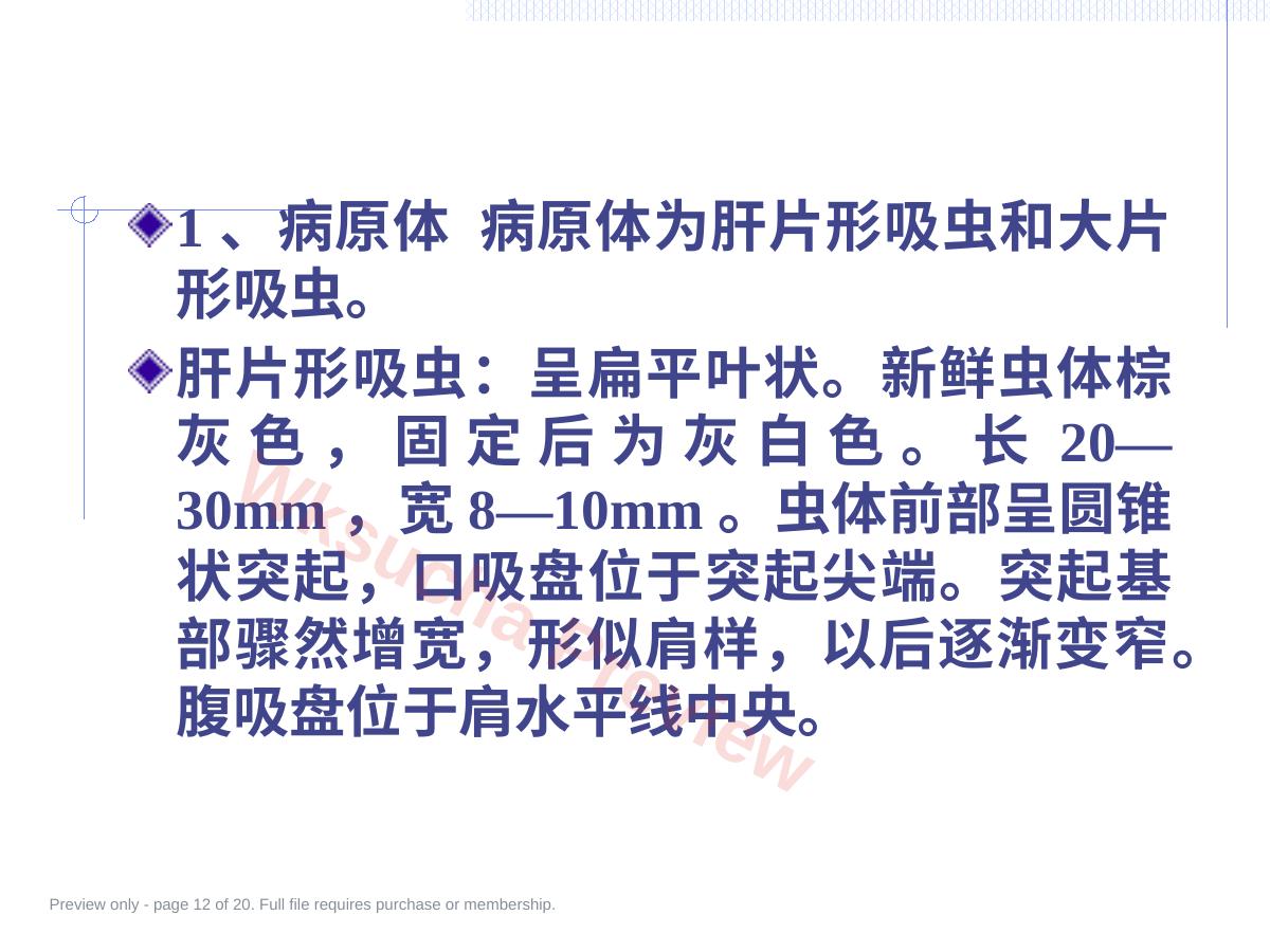 预览第 12 页
