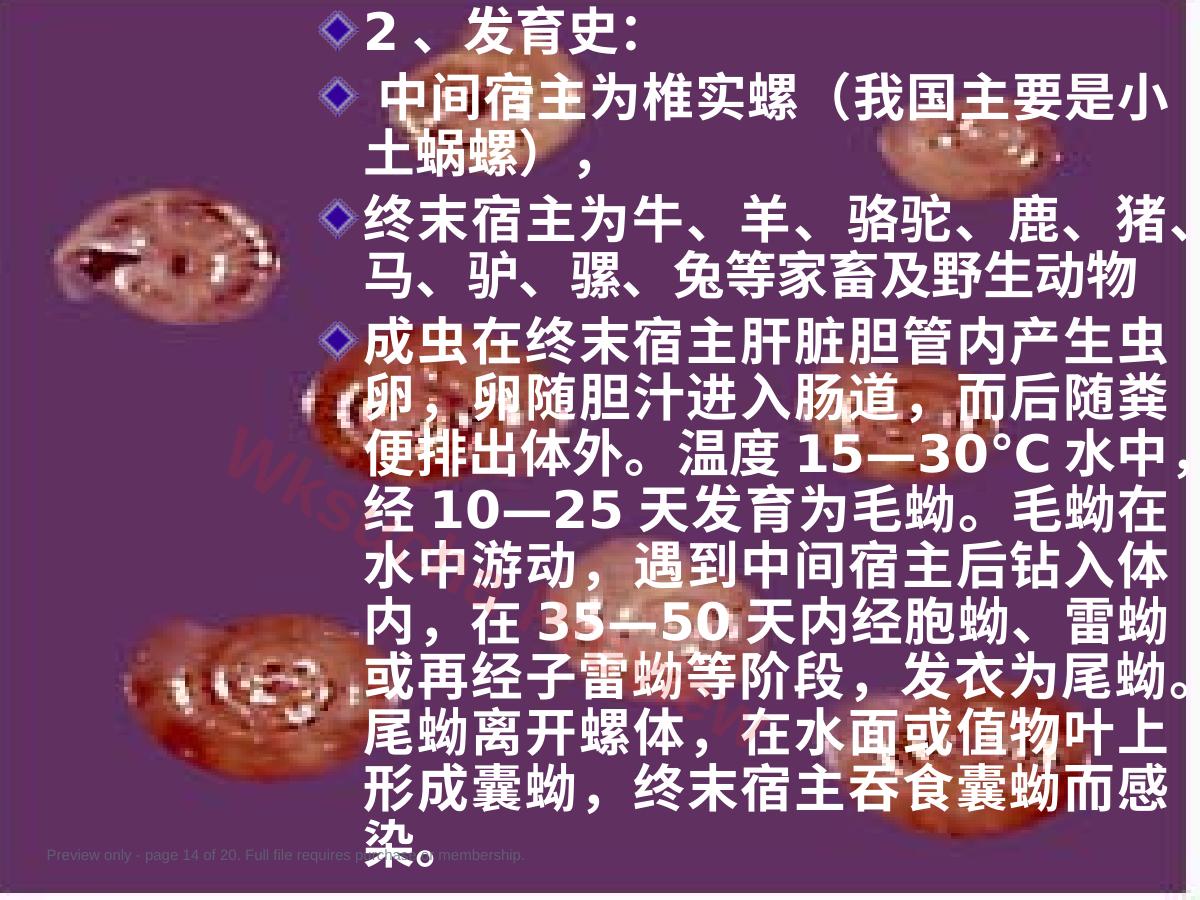 预览第 14 页