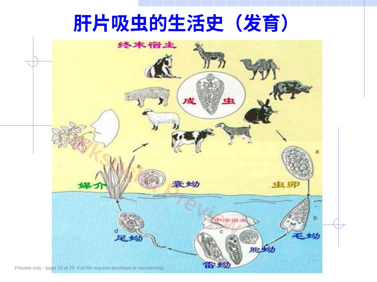 预览第 15 页