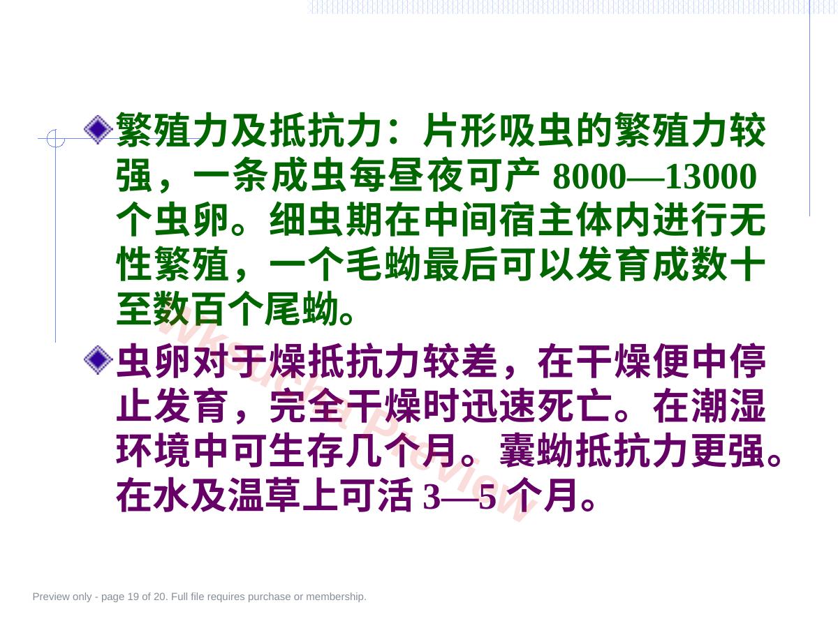 预览第 19 页