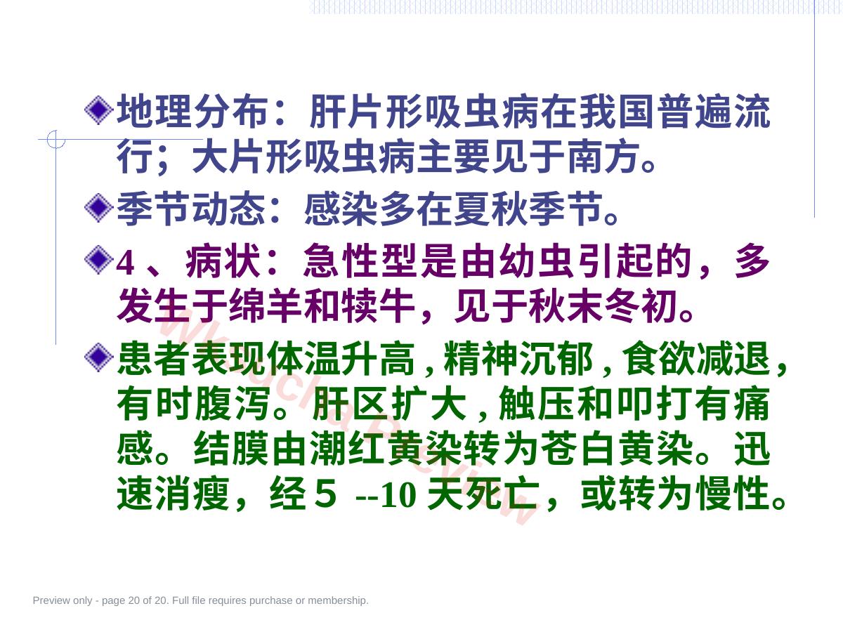 预览第 20 页