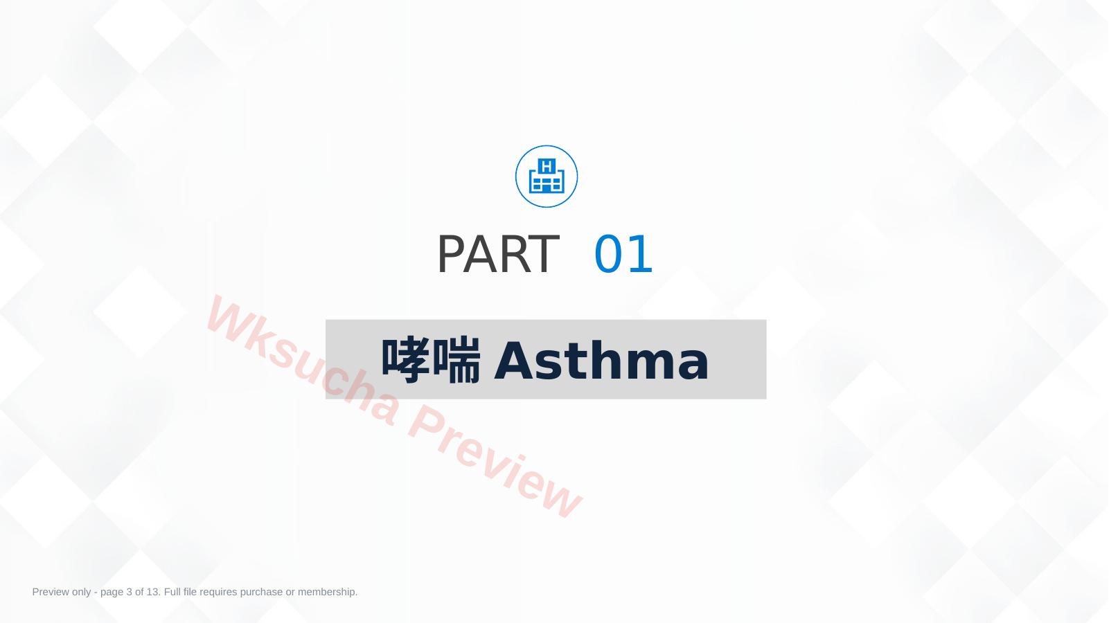 预览第 3 页