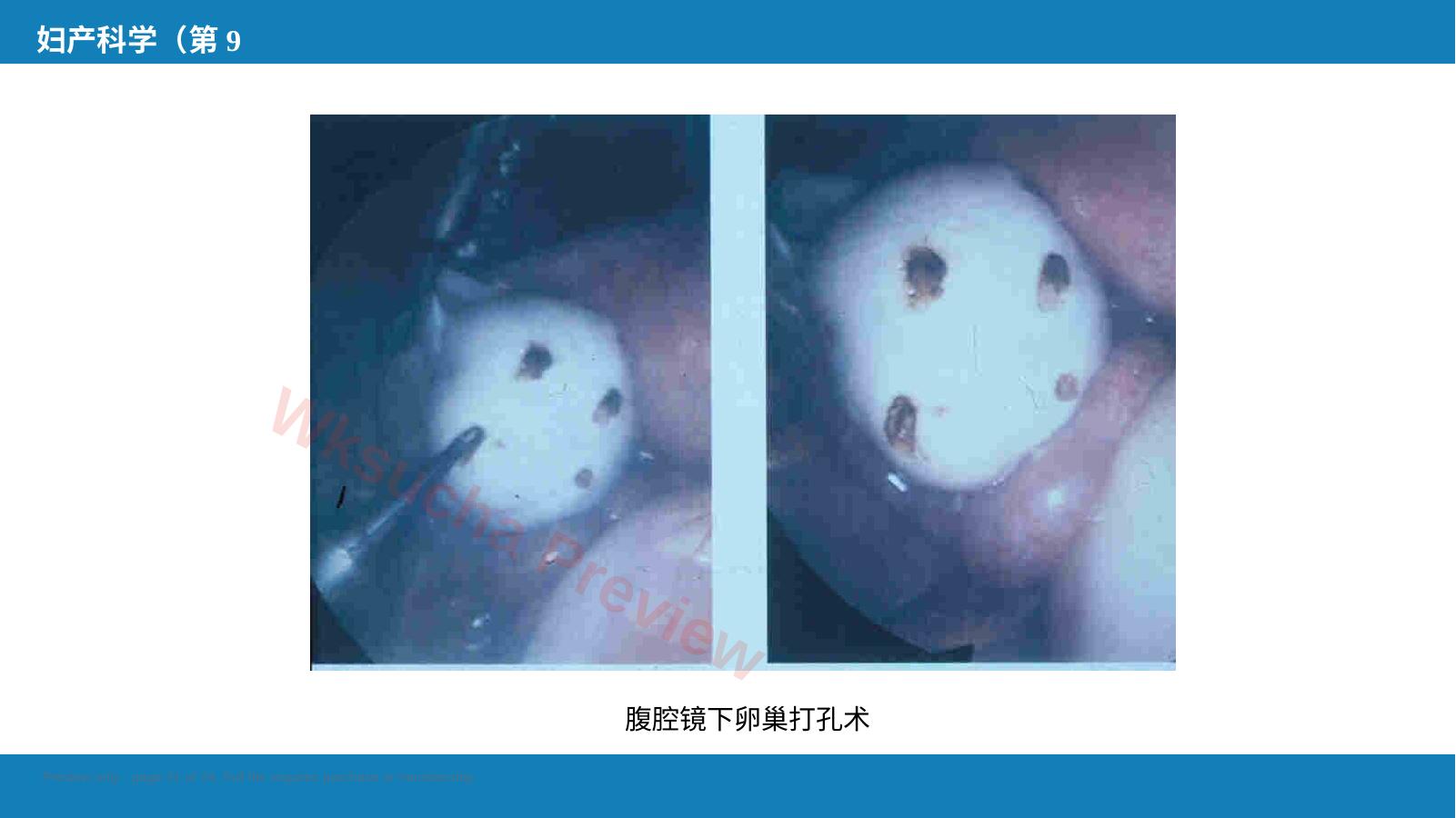 预览第 21 页