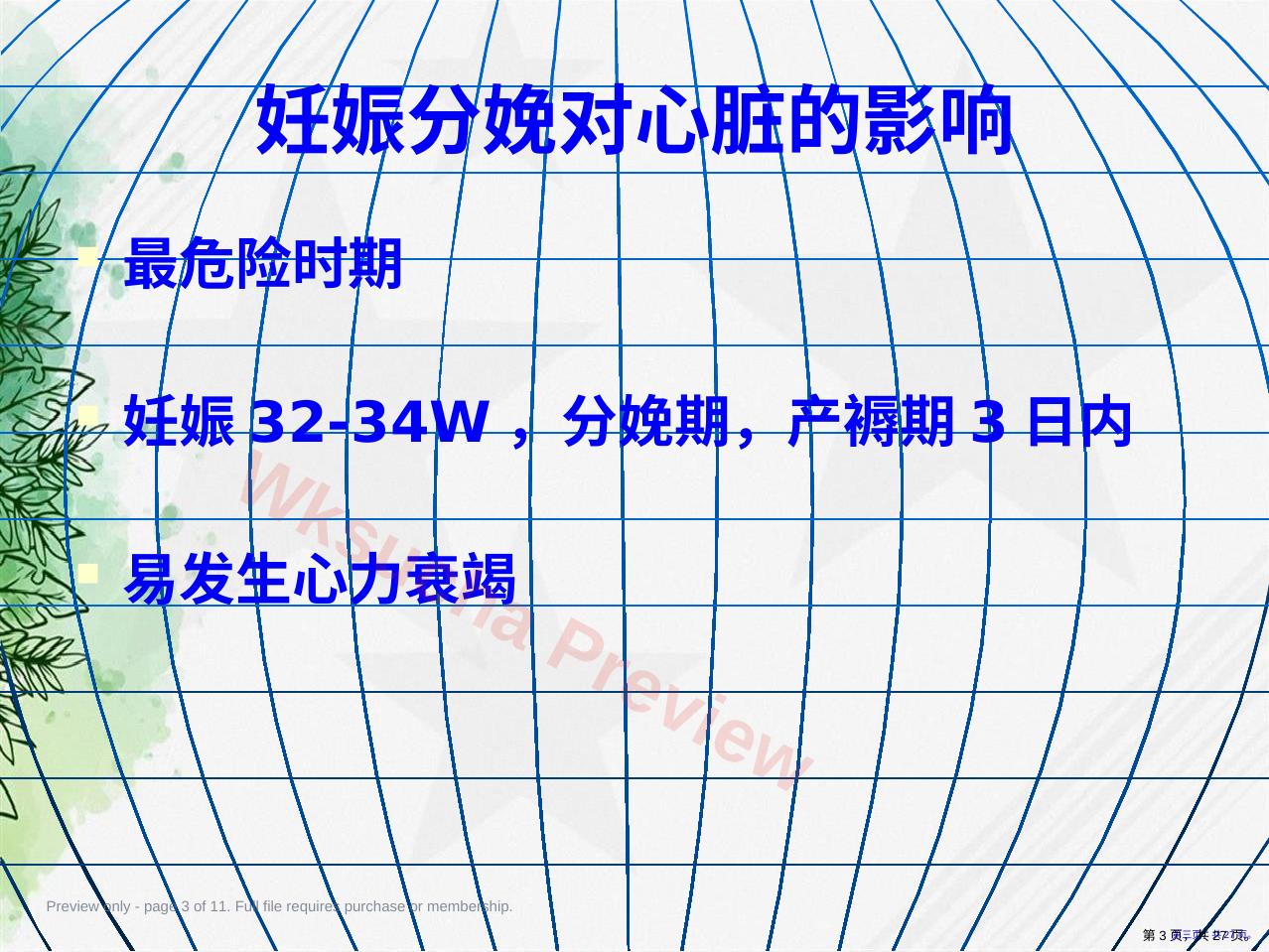 预览第 3 页