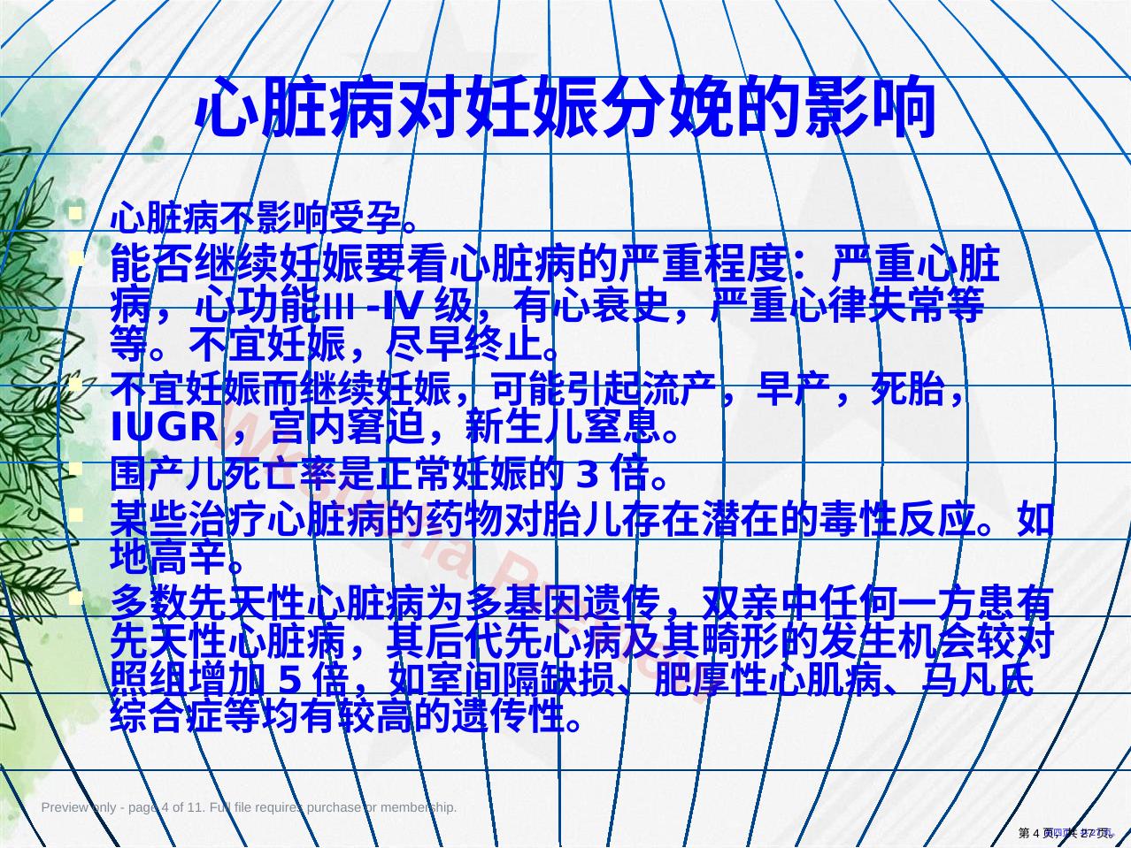 预览第 4 页