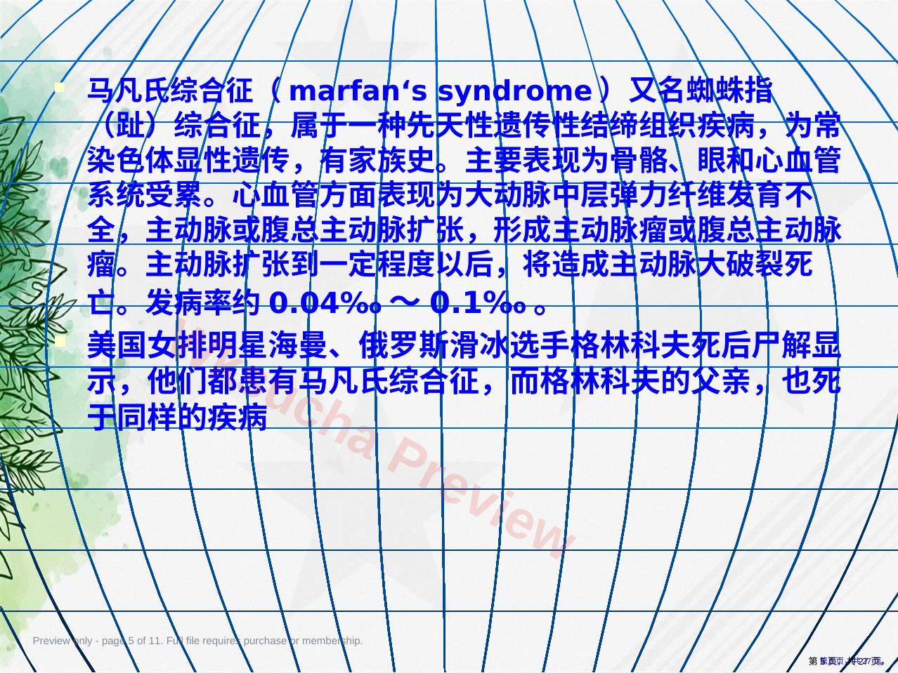 预览第 5 页