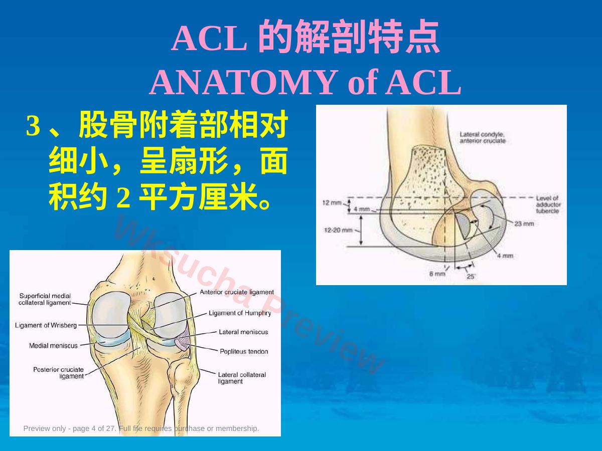 预览第 4 页