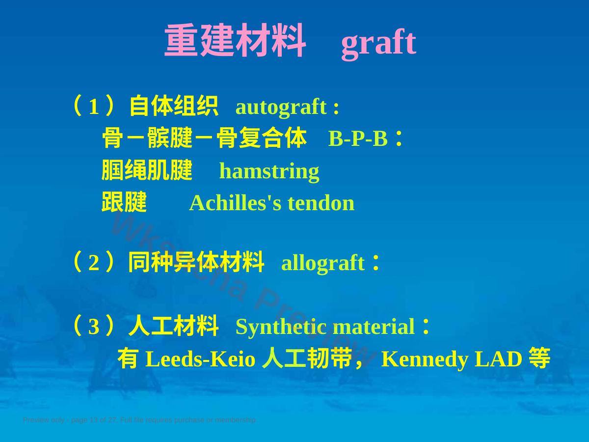 预览第 13 页