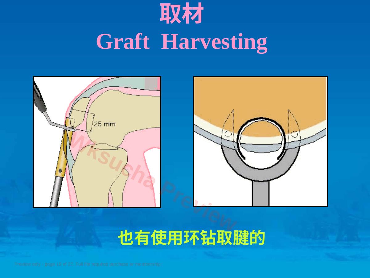 预览第 19 页
