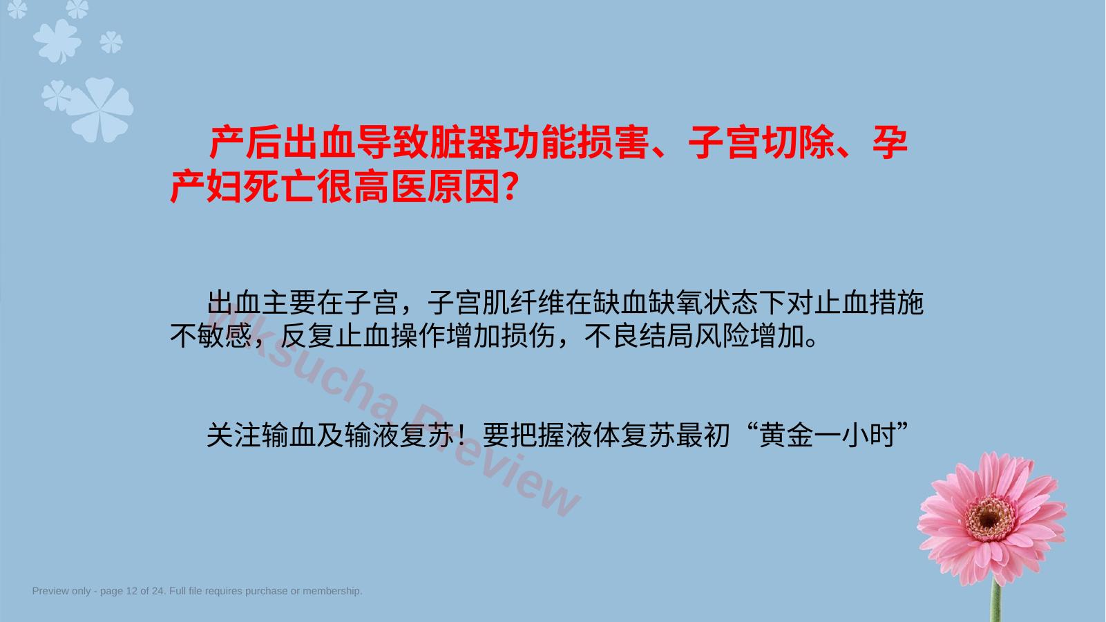 预览第 12 页