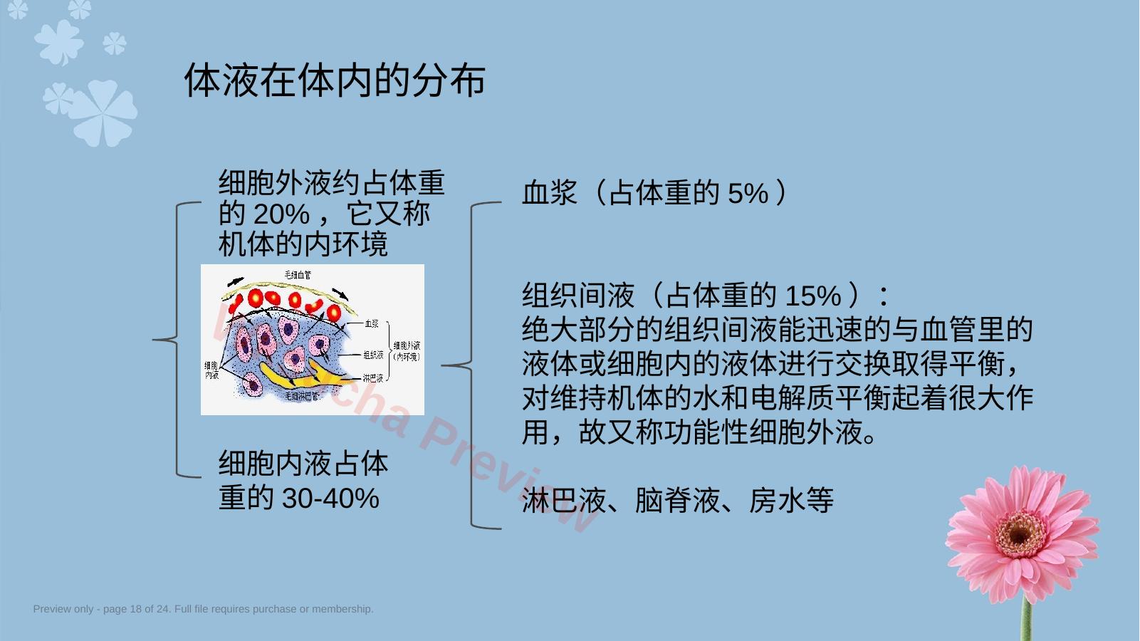 预览第 18 页