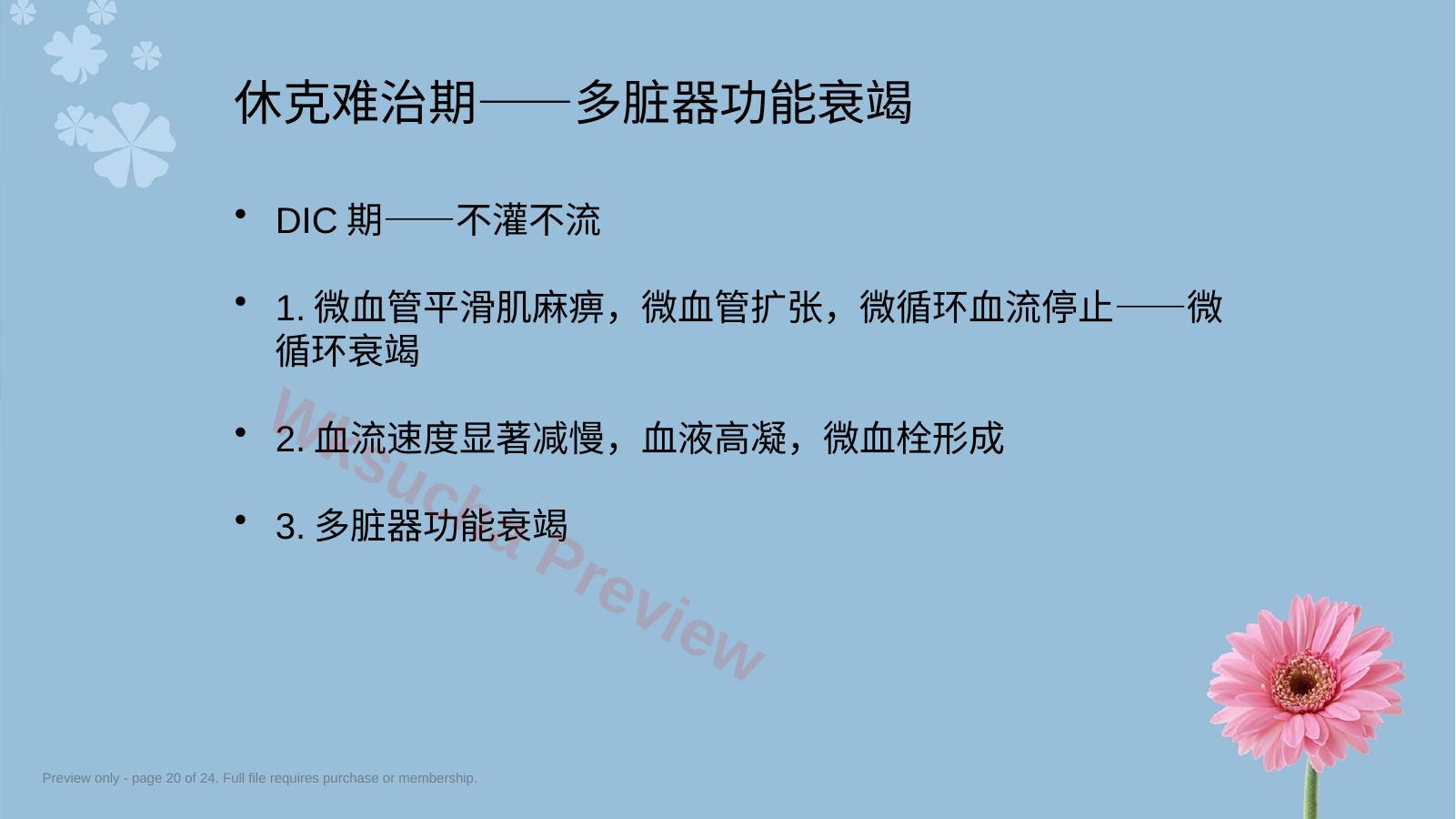 预览第 20 页