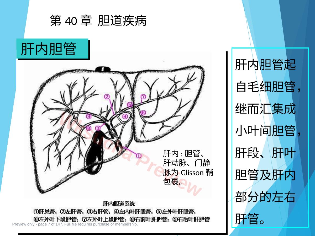 预览第 7 页