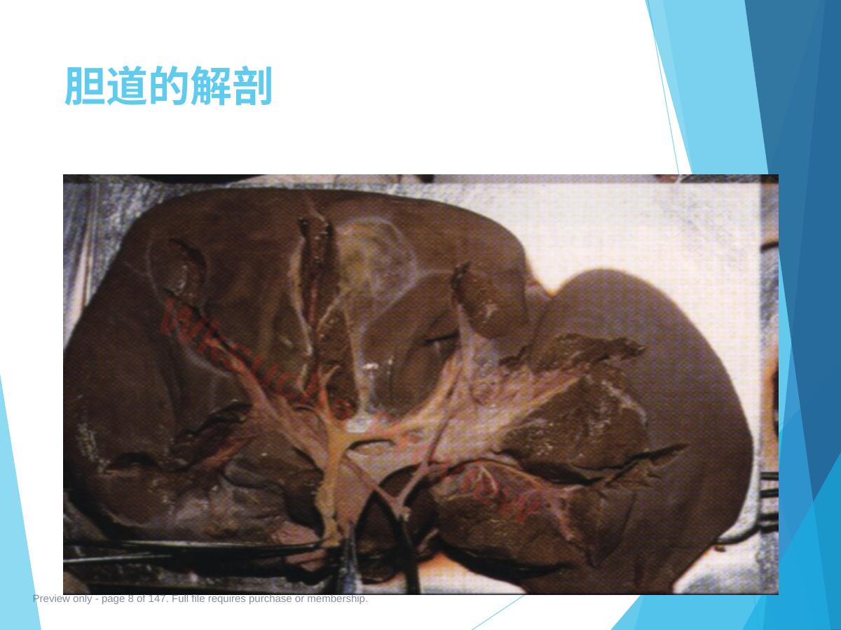 预览第 8 页