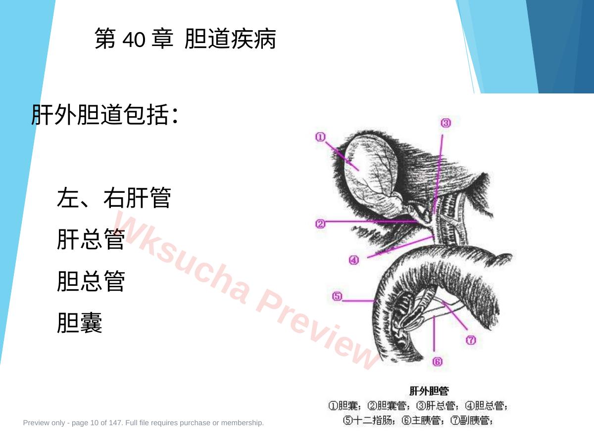 预览第 10 页