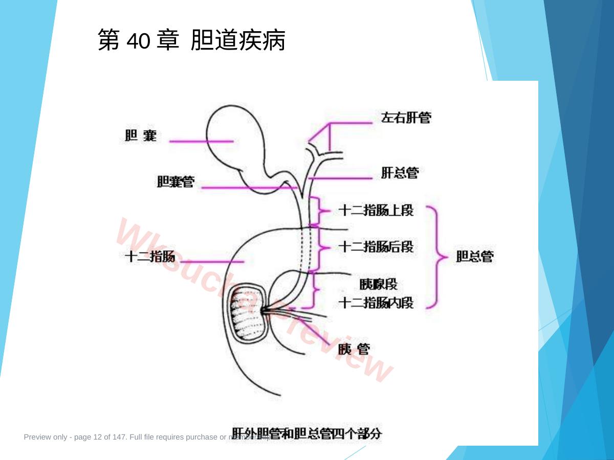 预览第 12 页