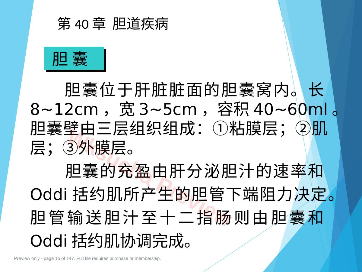 预览第 16 页