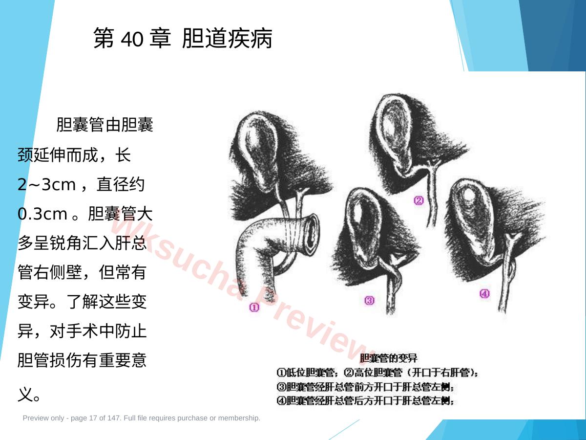 预览第 17 页