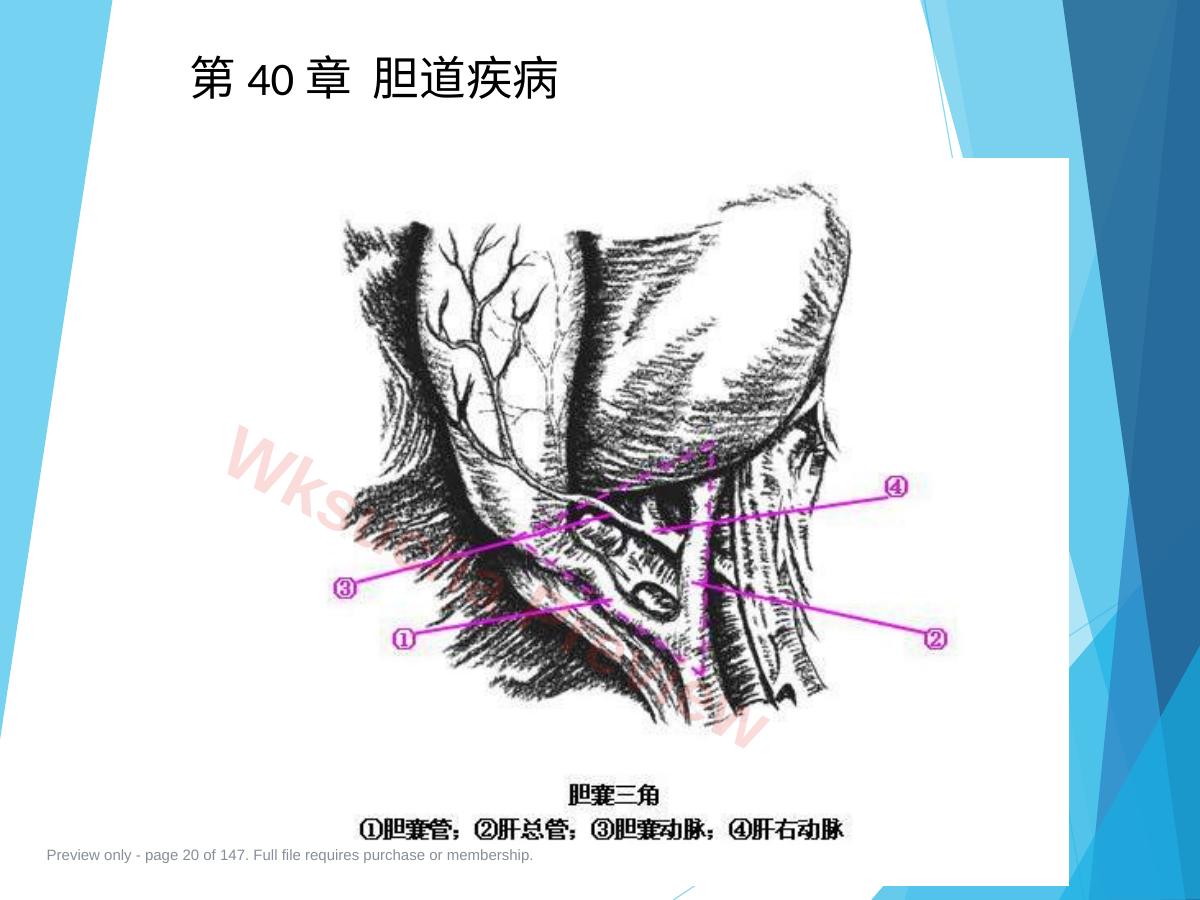 预览第 20 页