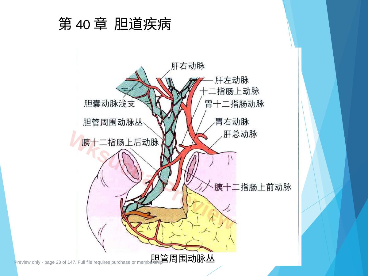 预览第 23 页