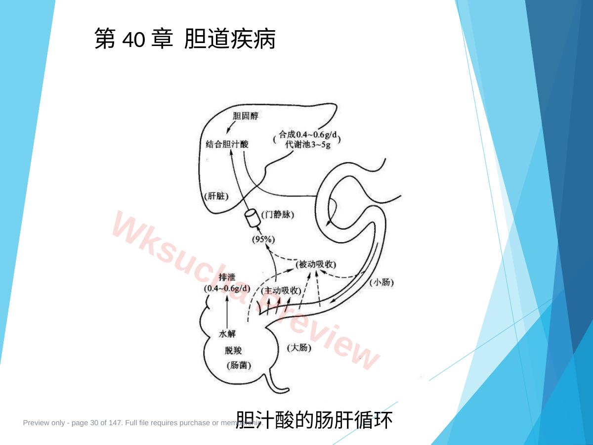预览第 30 页