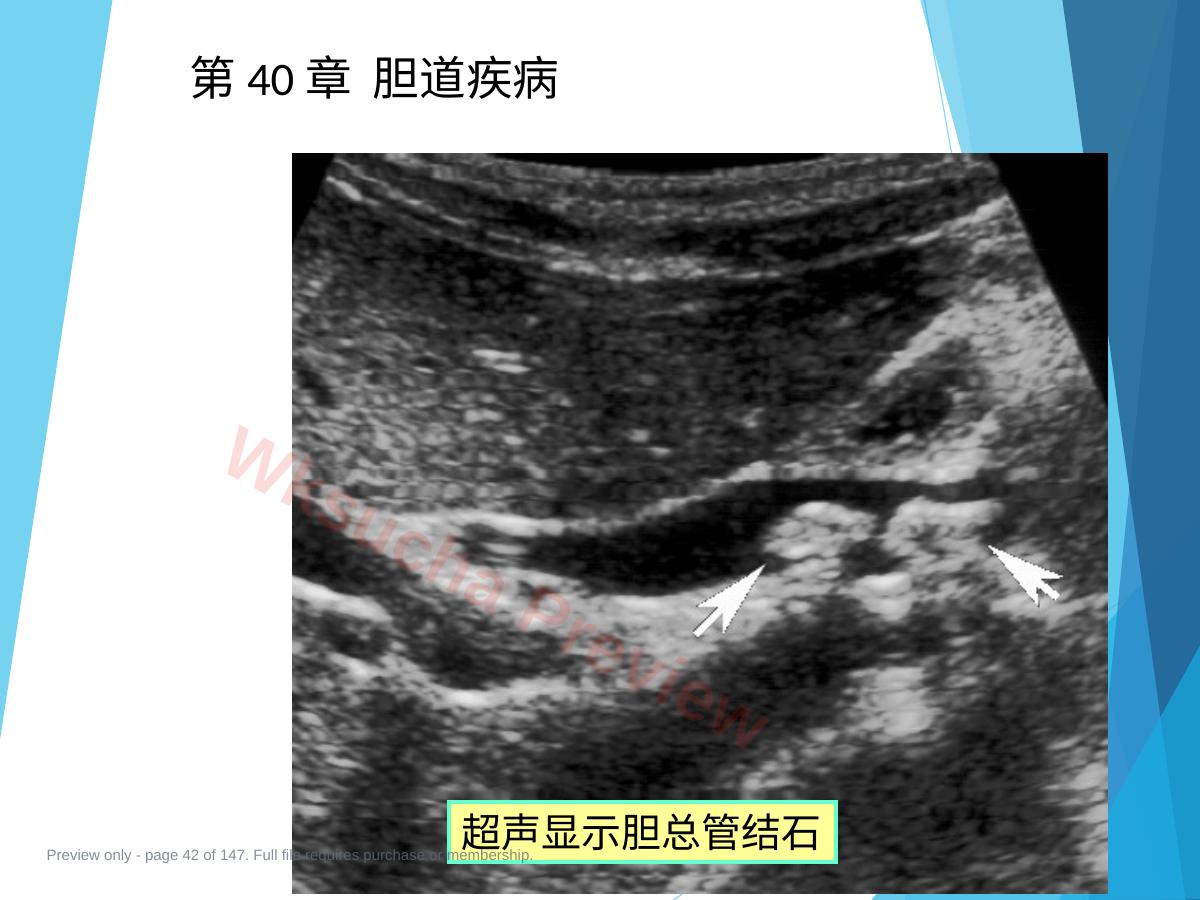 预览第 42 页