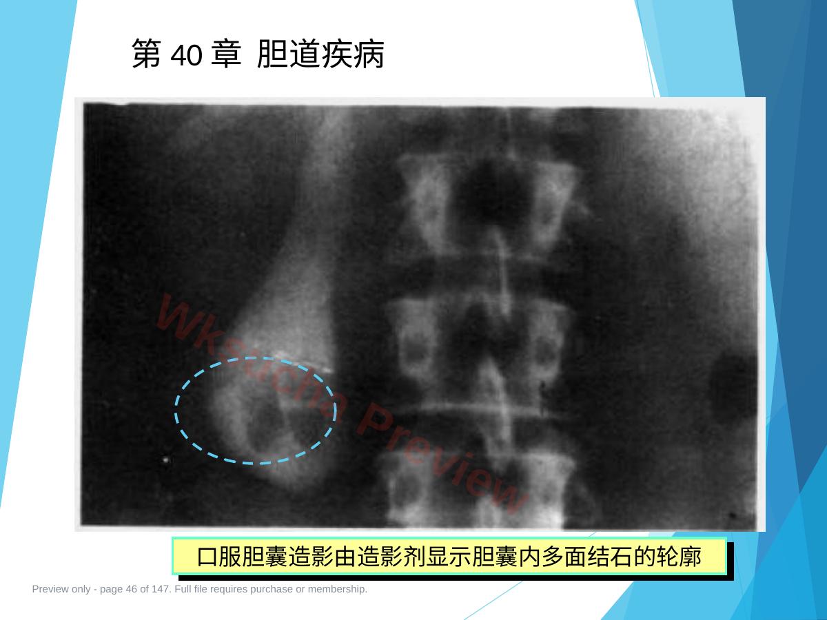 预览第 46 页