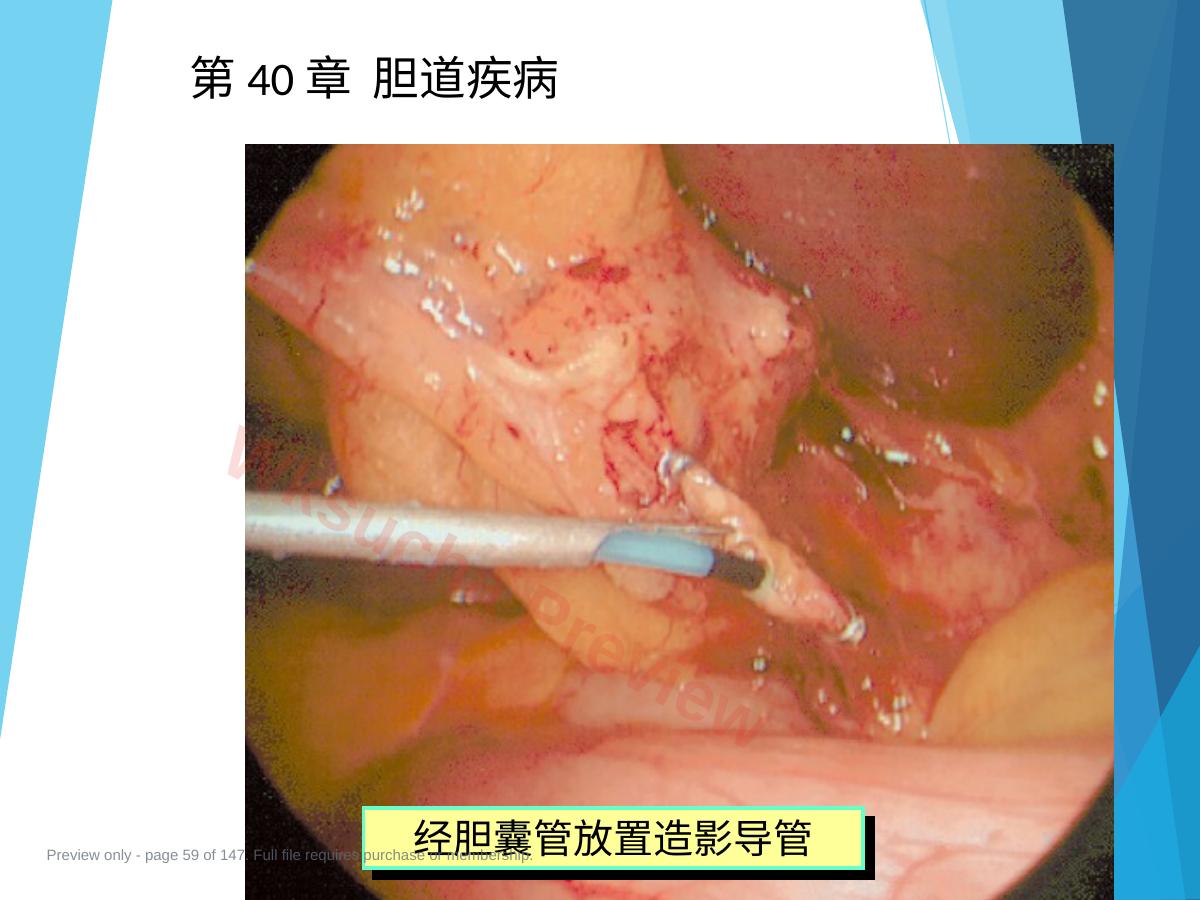 预览第 59 页