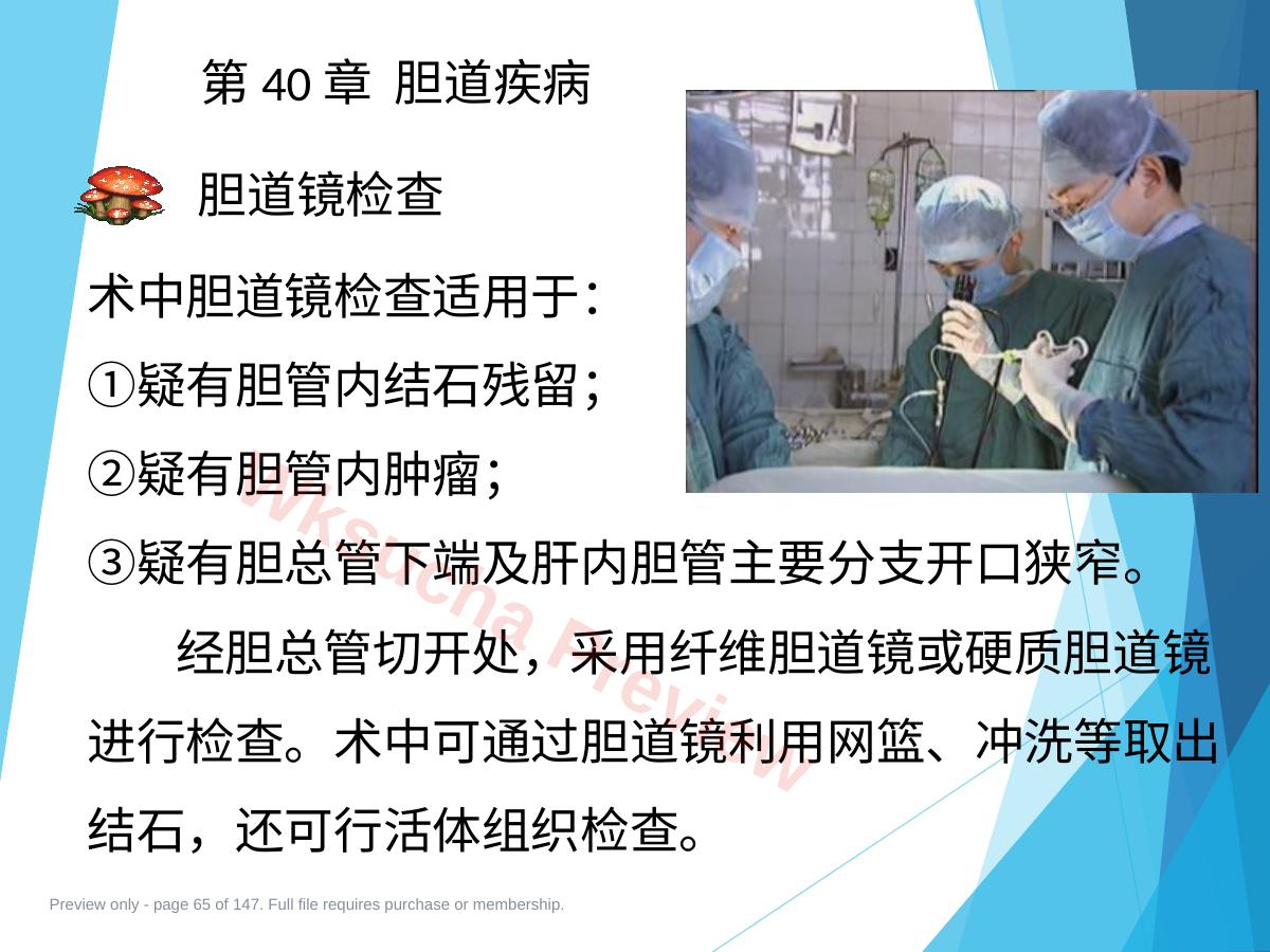 预览第 65 页