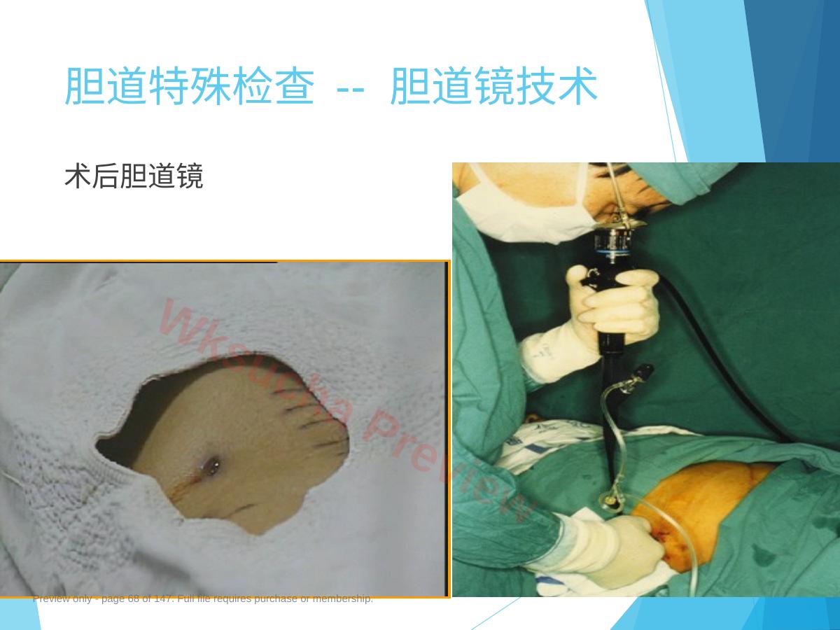 预览第 68 页