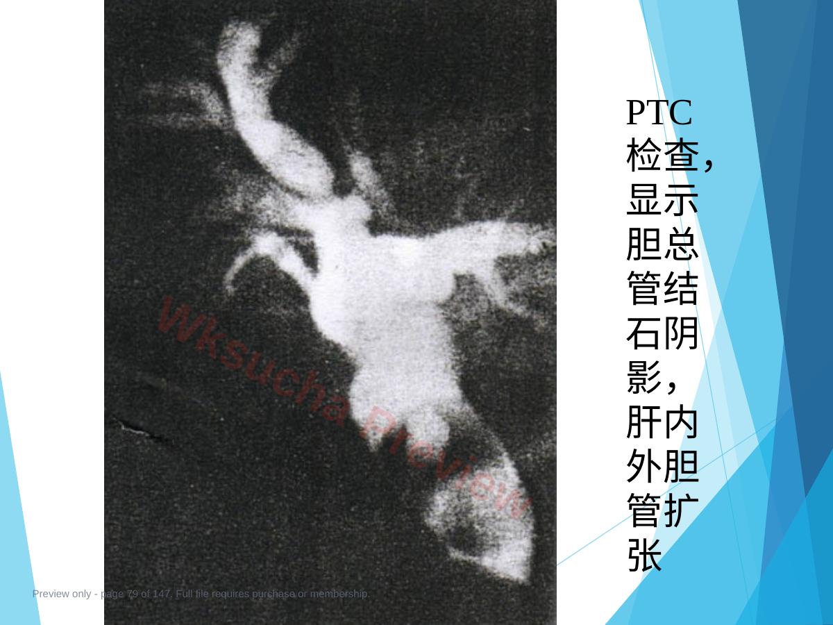 预览第 79 页