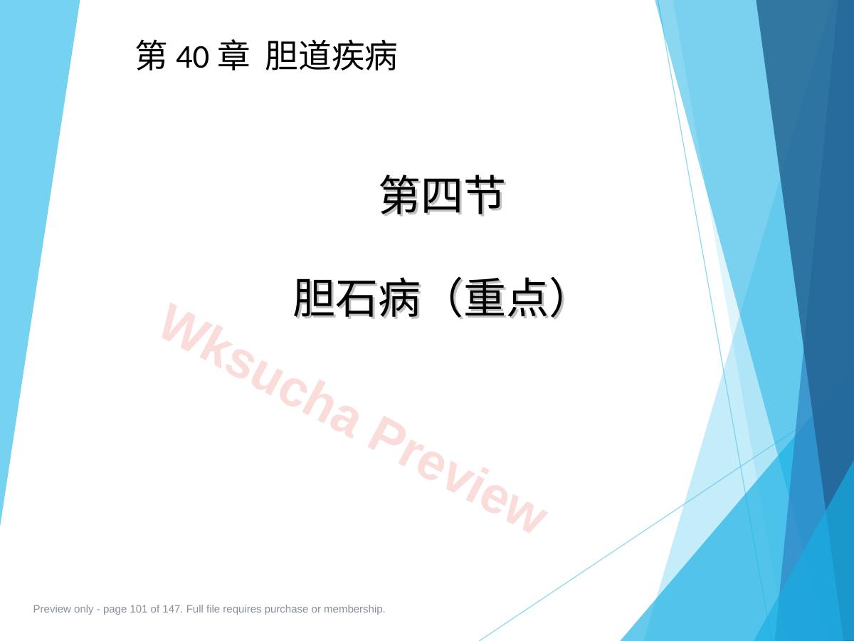 预览第 101 页