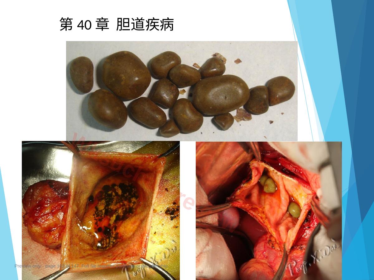 预览第 102 页