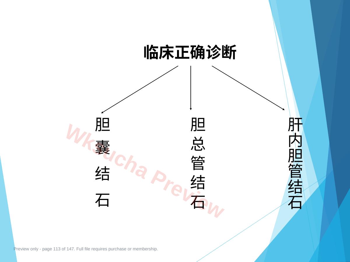 预览第 113 页