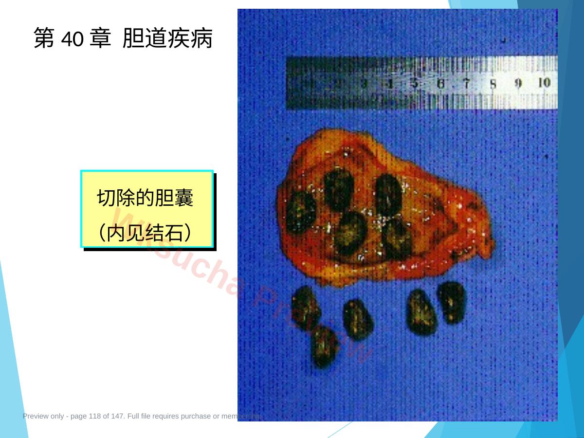 预览第 118 页