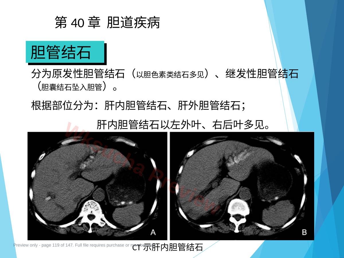 预览第 119 页