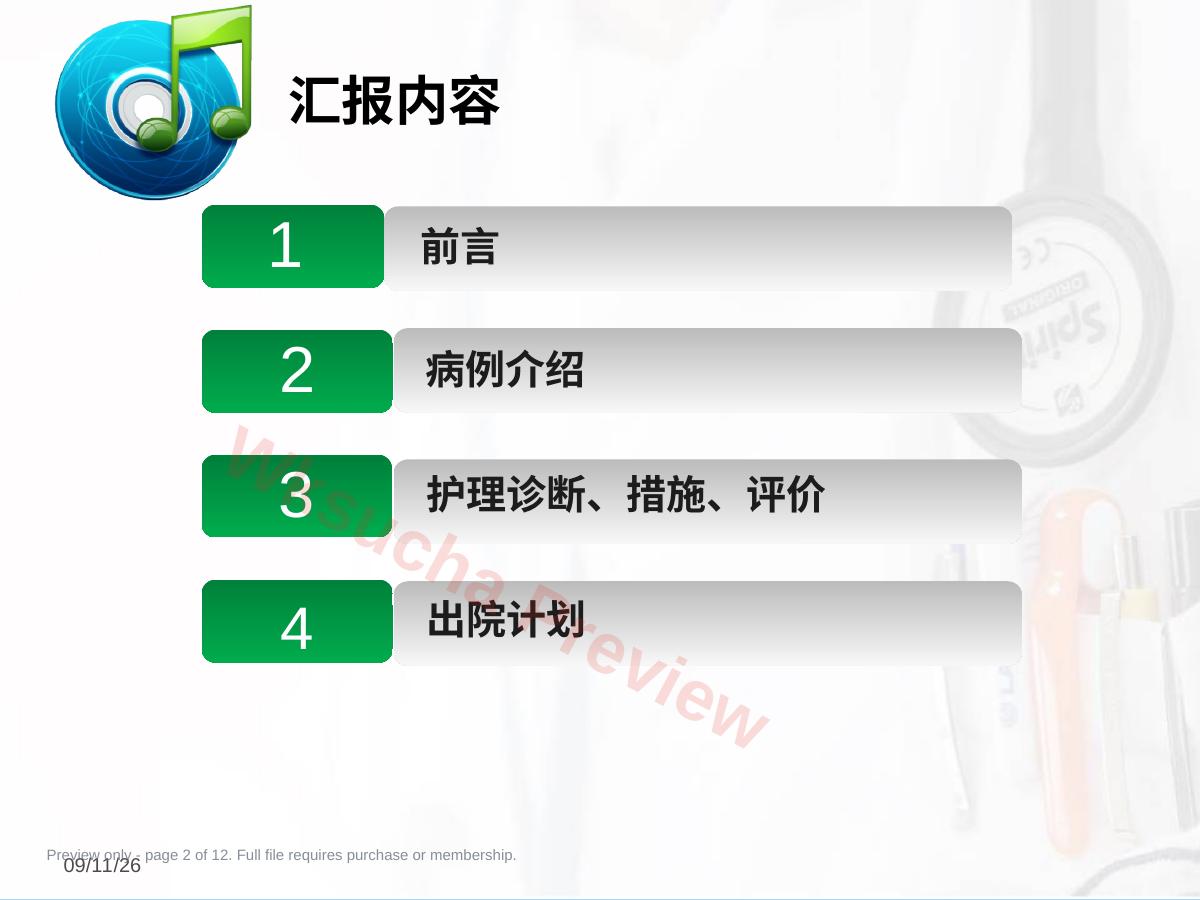 预览第 2 页