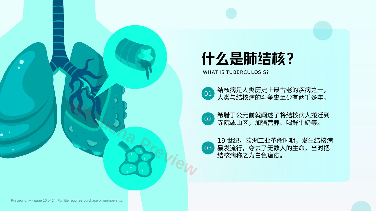 预览第 10 页