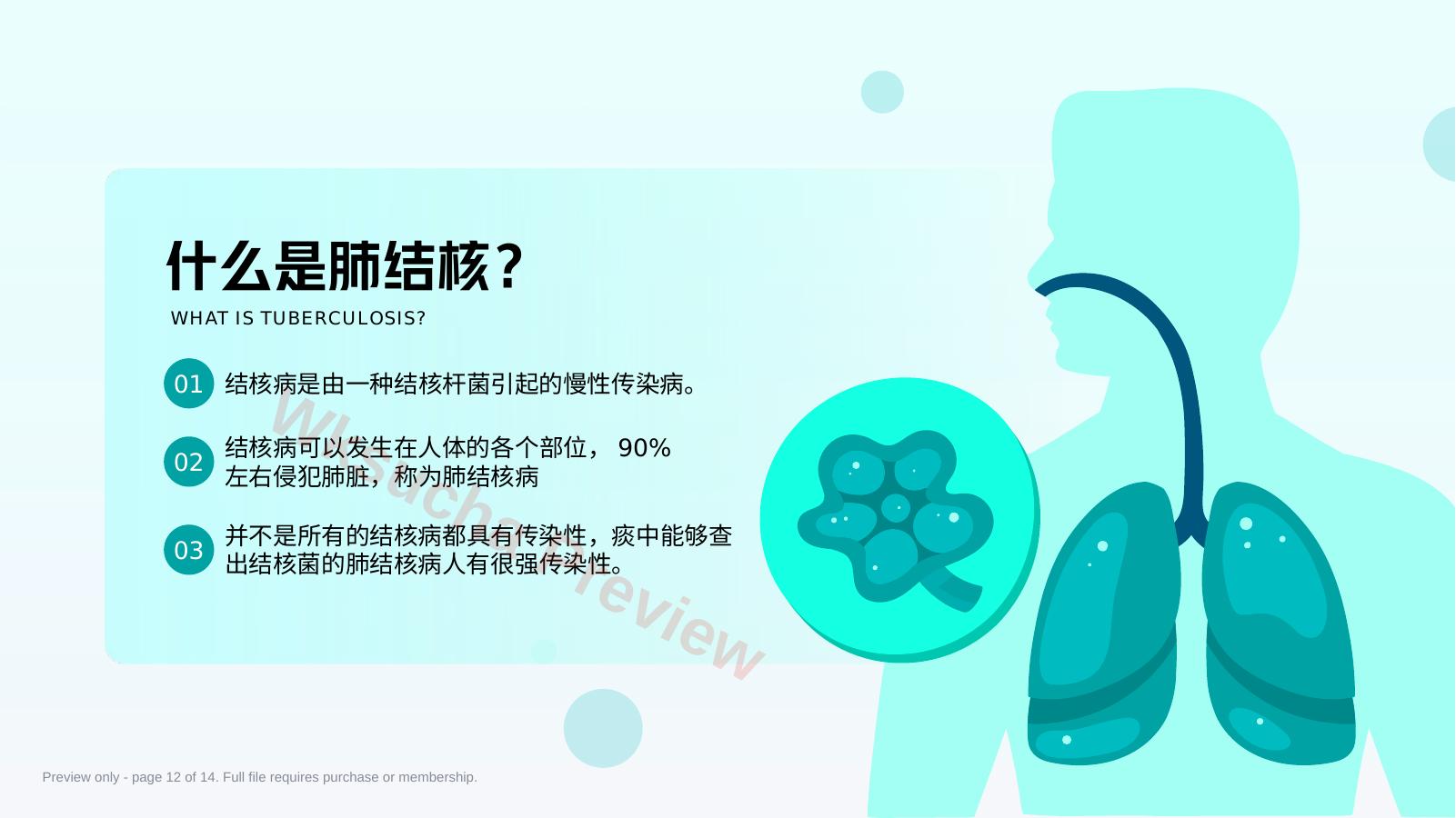 预览第 12 页