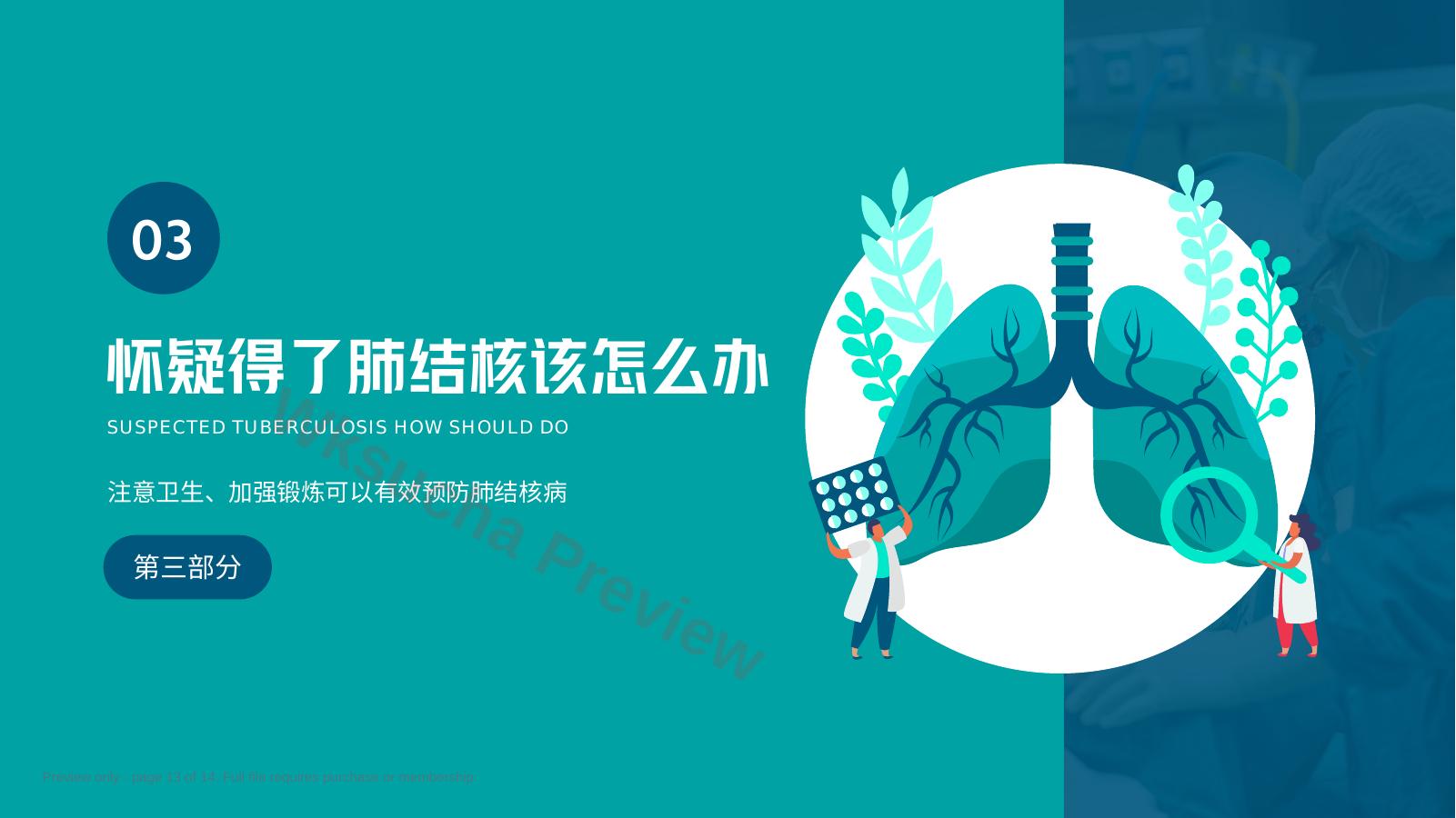 预览第 13 页