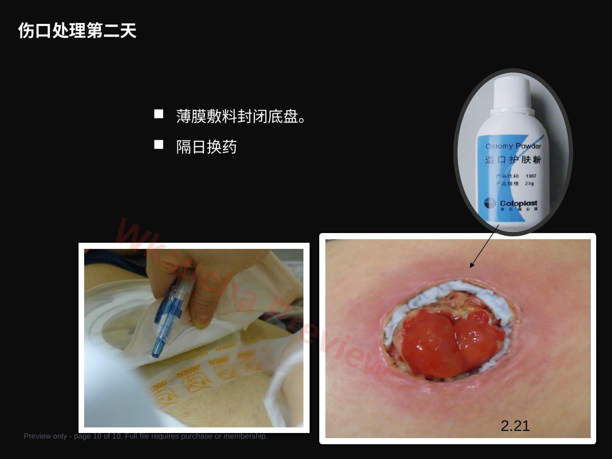预览第 10 页