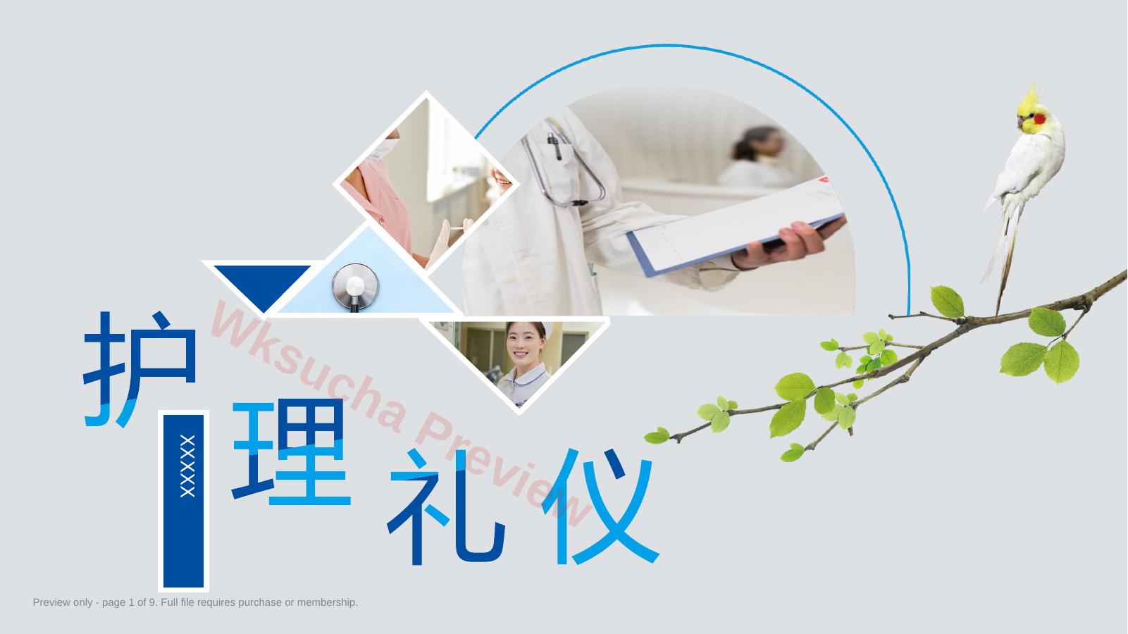 护士服务规范与礼仪培训 (2)